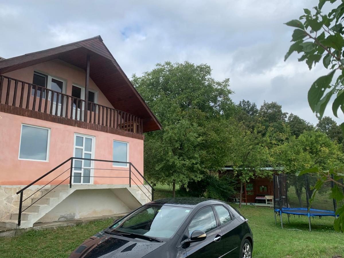 Casa Ana Villa Geoagiu Exterior photo